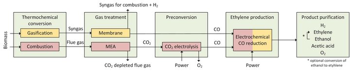 Ethylene Conversion Paths