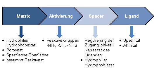 Selektive-Trenntechnik-TUM-Trennverfahren-nach-Zielmolekuel