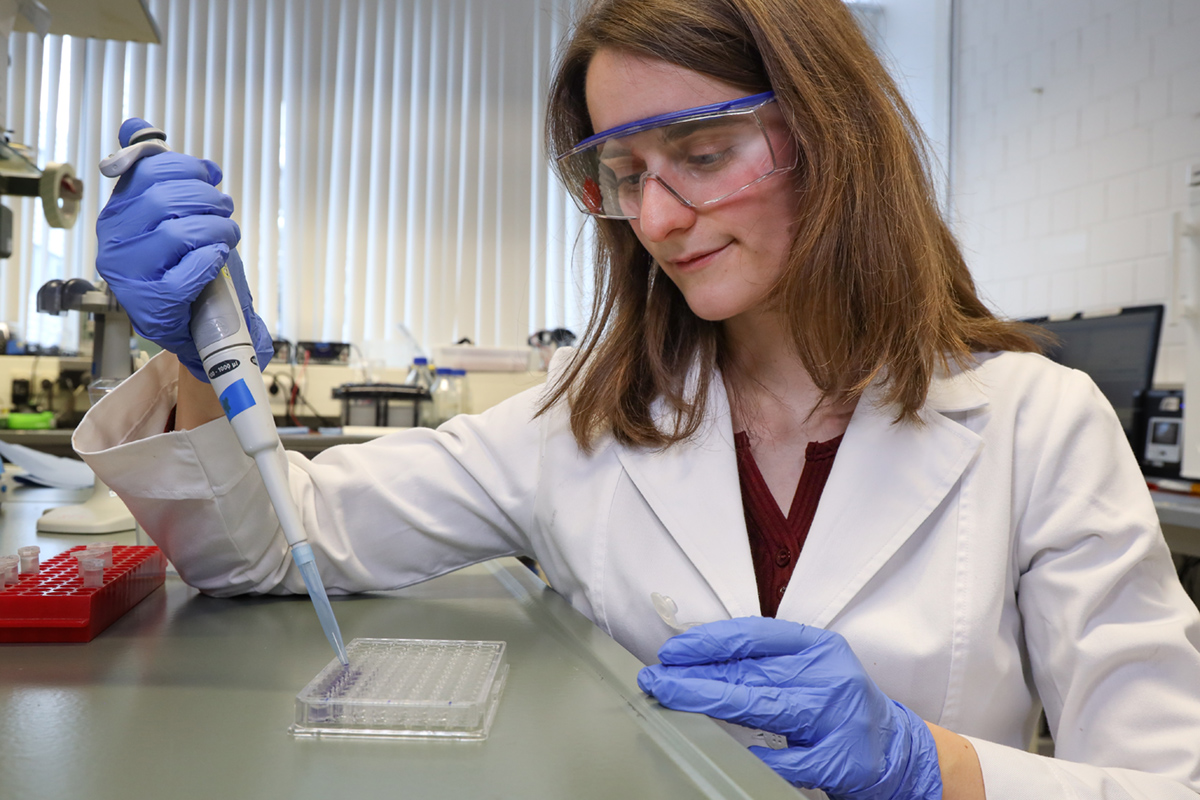 Student pipetting into a microtiter plate